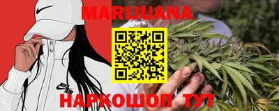 мдпв Гусев
