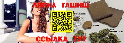 мдпв Гусев