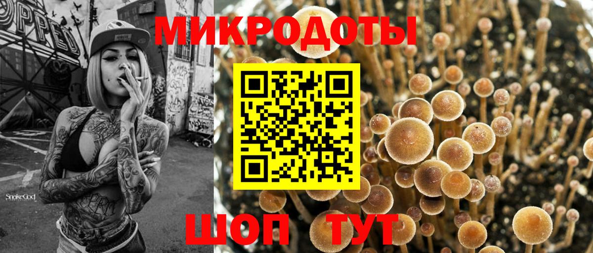 купить  сайты  Вход с VPN  Мичуринск  Псилоцибиновые грибы мицелий  Псилоцибиновые грибы прущие грибы 