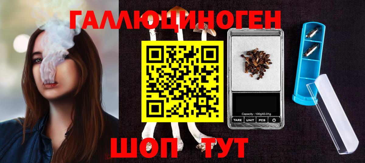 Галлюциногенные грибы Cubensis Мичуринск